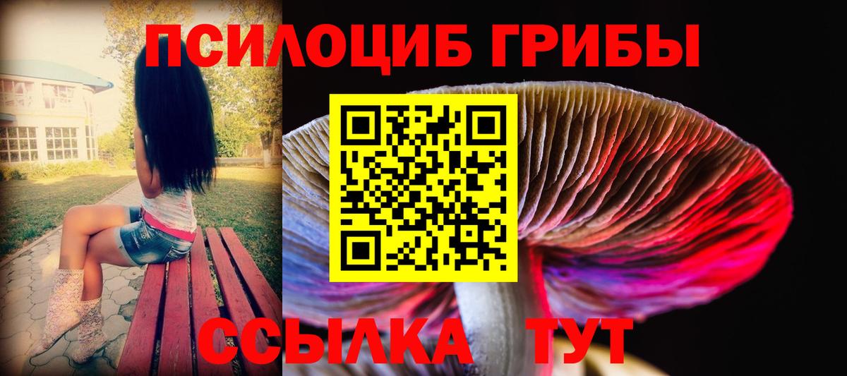 Псилоцибиновые грибы мицелий  Вход с VPN  Ейск 
